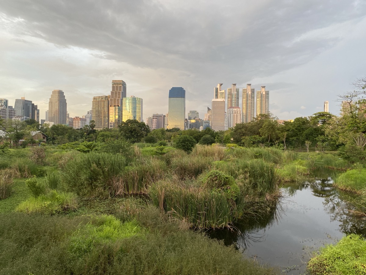Birds in the Park Bangkok – นกในสวนสาธารณะ กรุงเทพฯ